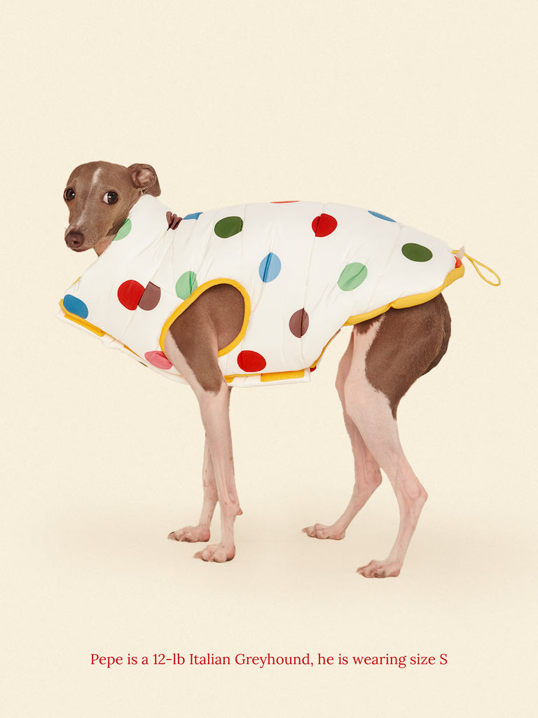 Little Beast Dog Parka The Damien Puffer Jacket