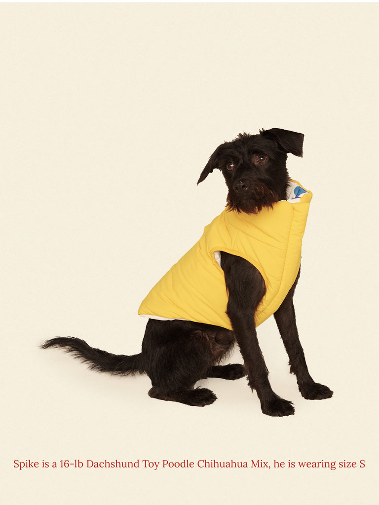 Little Beast Dog Parka The Damien Puffer Jacket