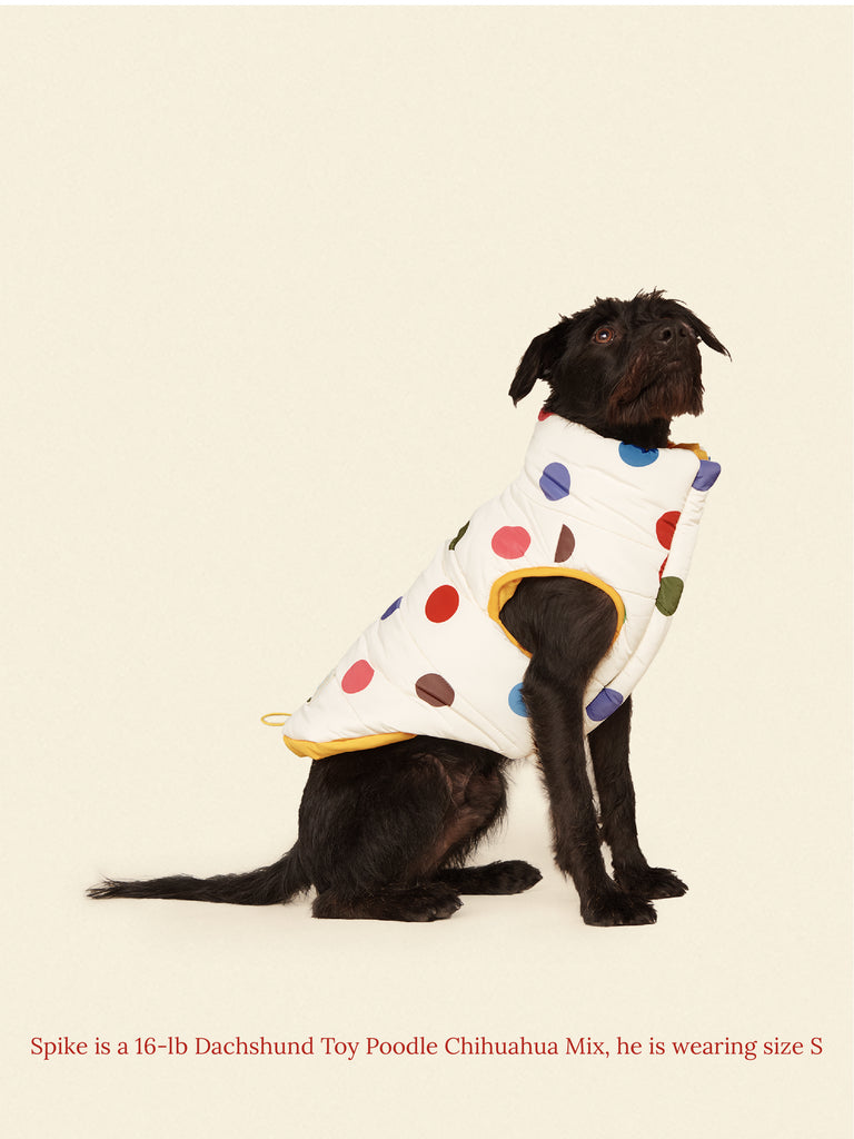 Little Beast Dog Parka The Damien Puffer Jacket