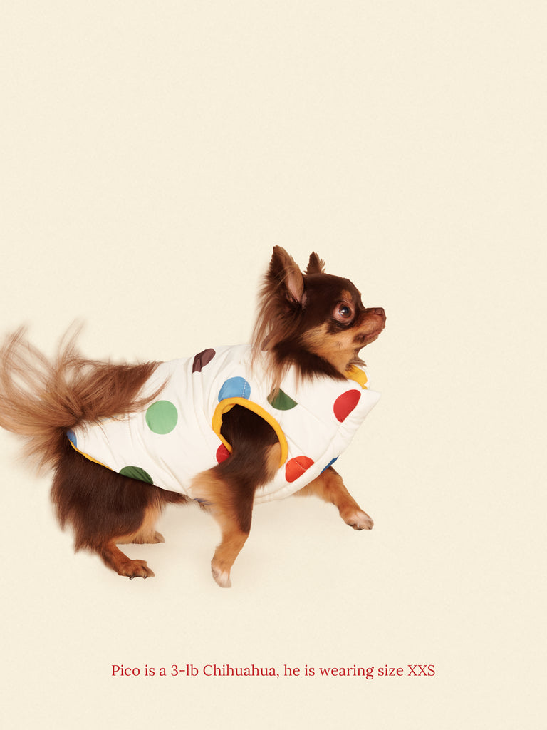 Little Beast Dog Parka The Damien Puffer Jacket