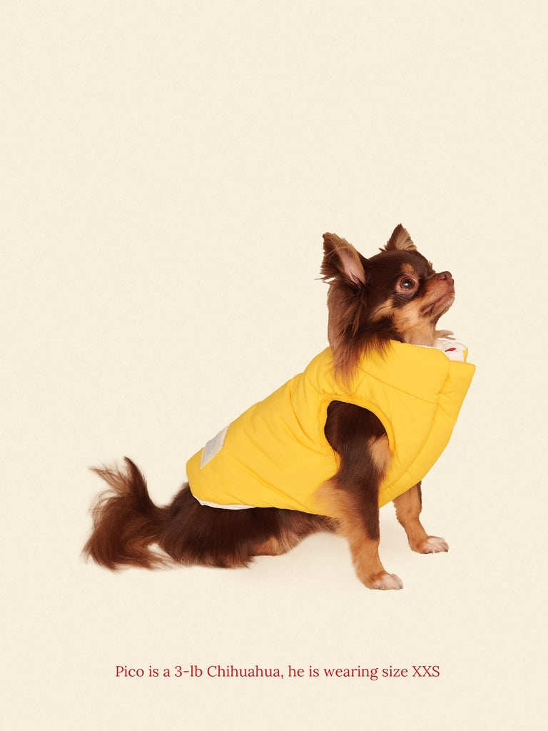 Little Beast Dog Parka The Damien Puffer Jacket
