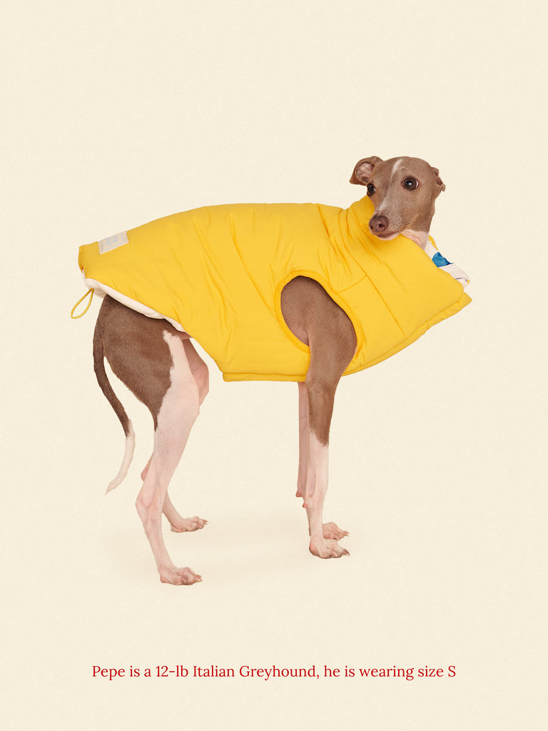 Little Beast Dog Parka The Damien Puffer Jacket