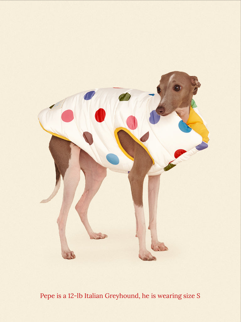 Little Beast Dog Parka The Damien Puffer Jacket