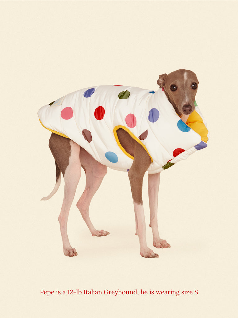 Little Beast Dog Parka The Damien Puffer Jacket