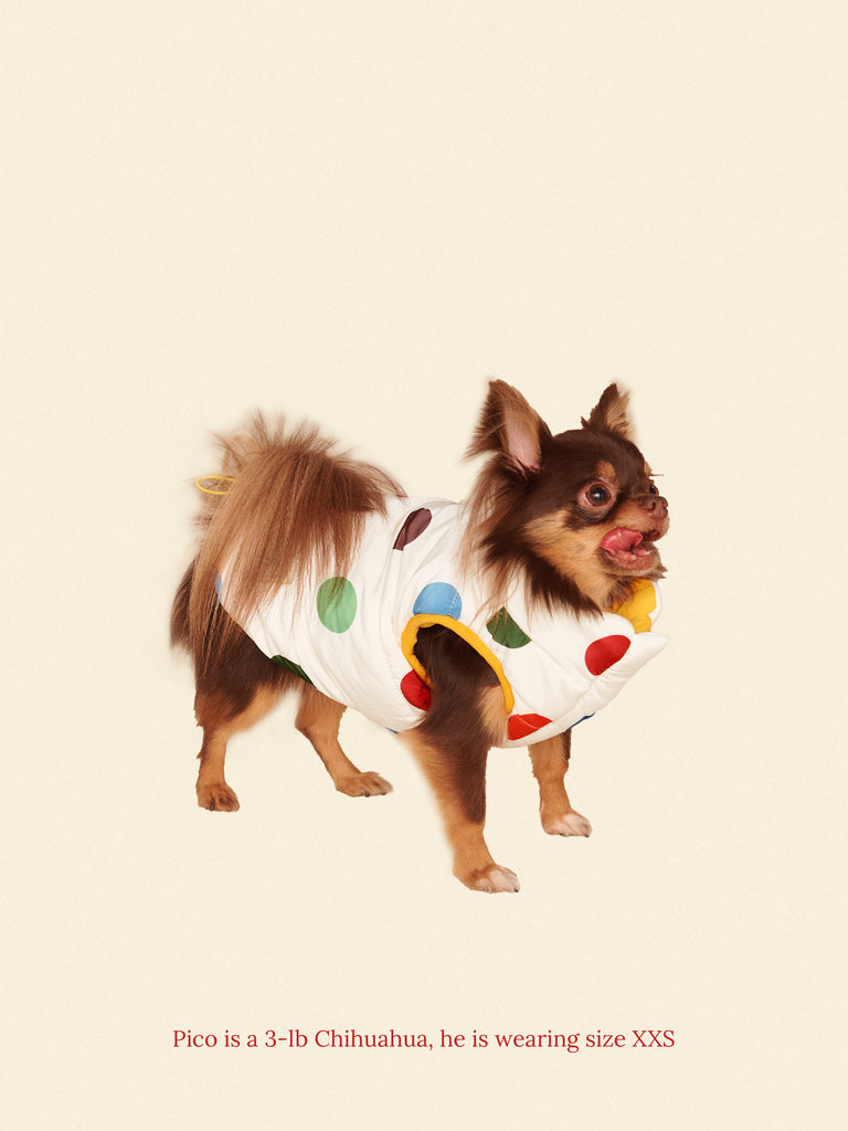 Little Beast Dog Parka The Damien Puffer Jacket