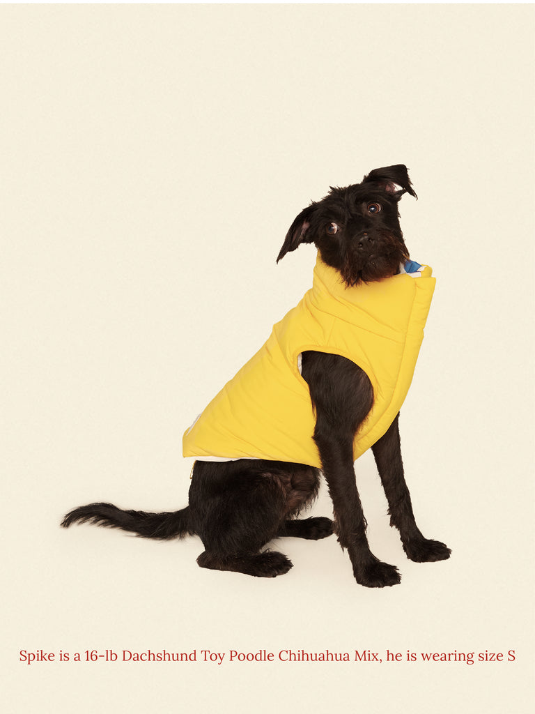 The Damien Puffer Jacket – Little Beast