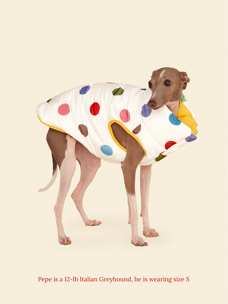 Little Beast Dog Parka The Damien Puffer Jacket