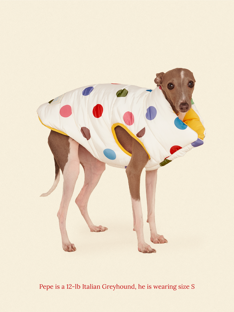 Little Beast Dog Parka The Damien Puffer Jacket