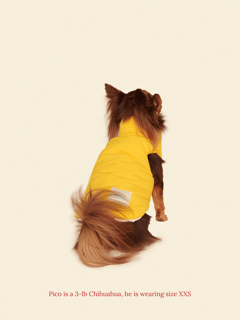 Little Beast Dog Parka The Damien Puffer Jacket