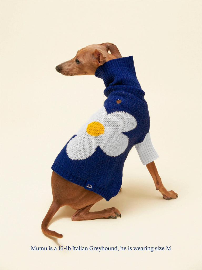 Little Beast Dog Sweater Blue White / XXS The Good Vibes Sweater