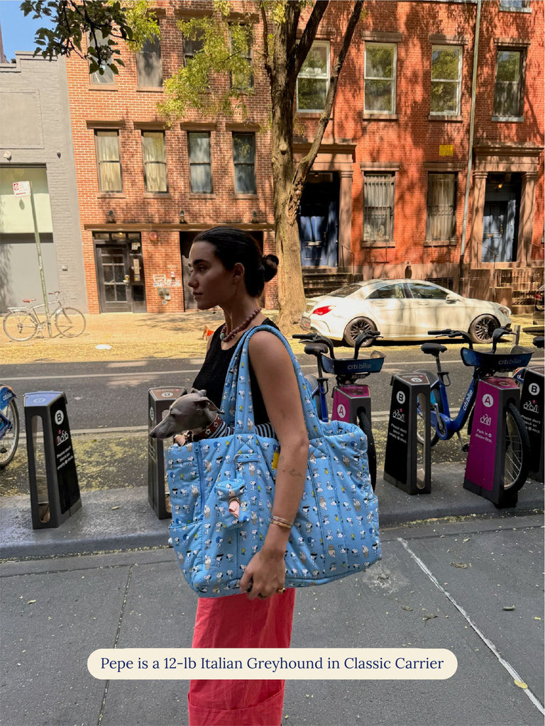 Little Beast Dog Carrier The Little Beast Carrier - Baby