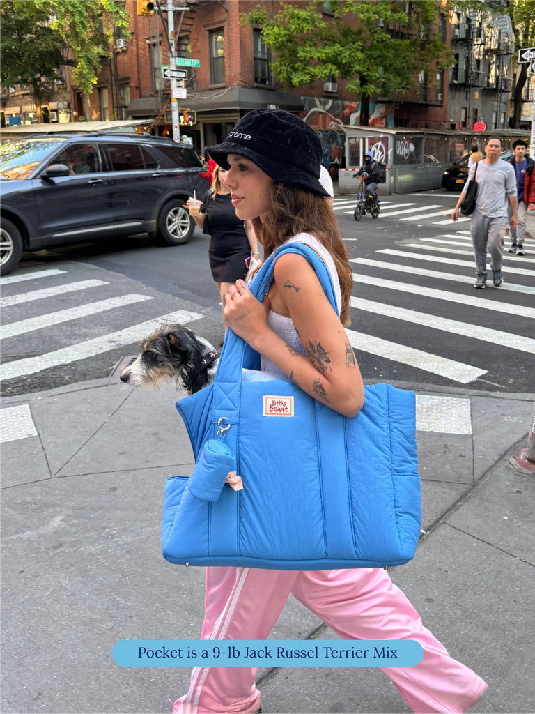 Little Beast Dog Carrier One Size The Little Beast Carrier - Blue