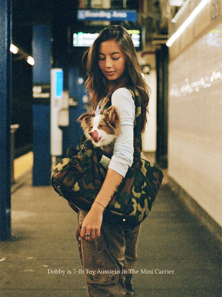 Little Beast Dog Carrier The Little Beast Carrier - Camo