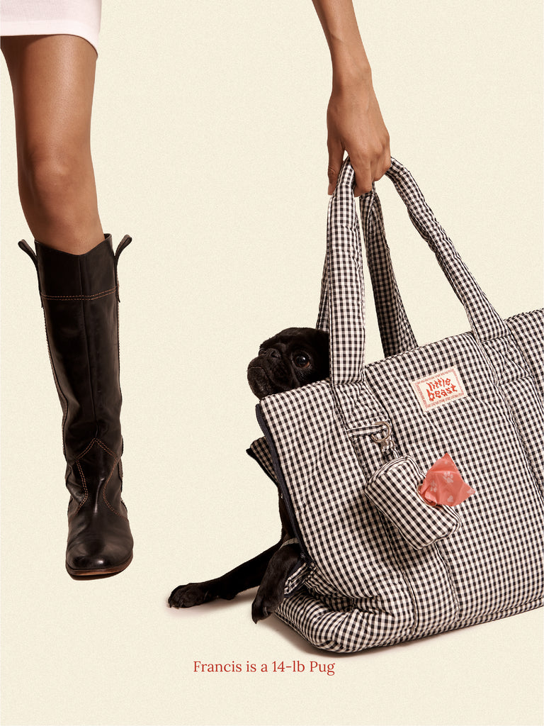 Little Beast Dog Carrier The Little Beast Carrier - Coffee Cream