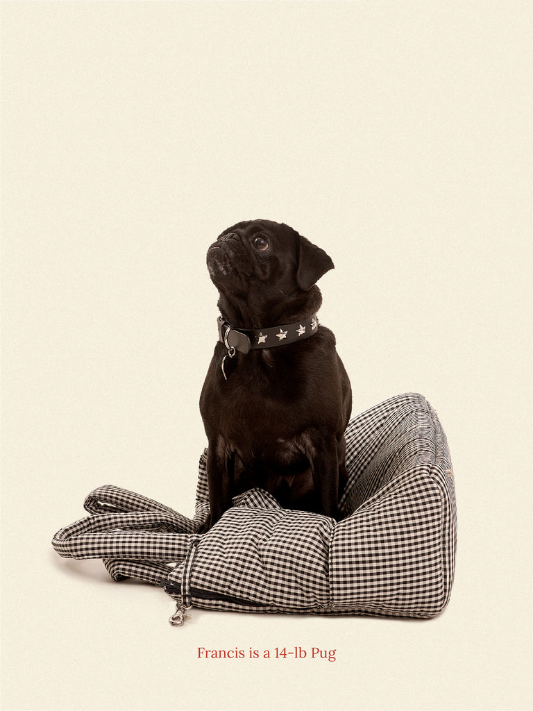 Little Beast Dog Carrier The Little Beast Carrier - Coffee Cream