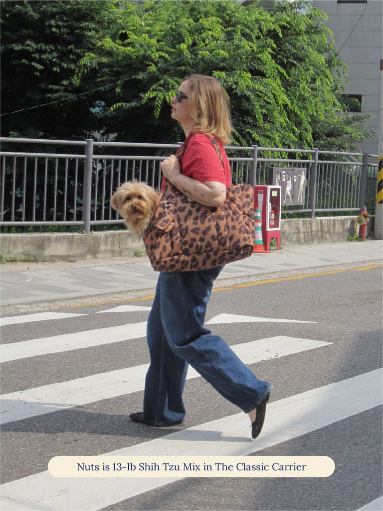Little Beast Dog Carrier The Little Beast Carrier - Cougar