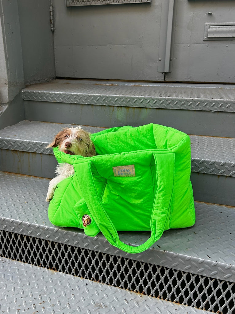 The Little Beast Carrier - Jackpot