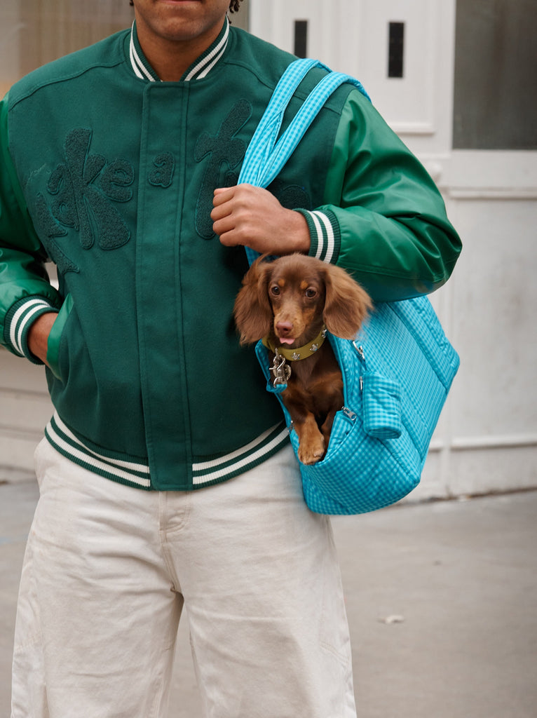 Little Beast Dog Carrier The Little Beast Carrier - Ocean Breeze