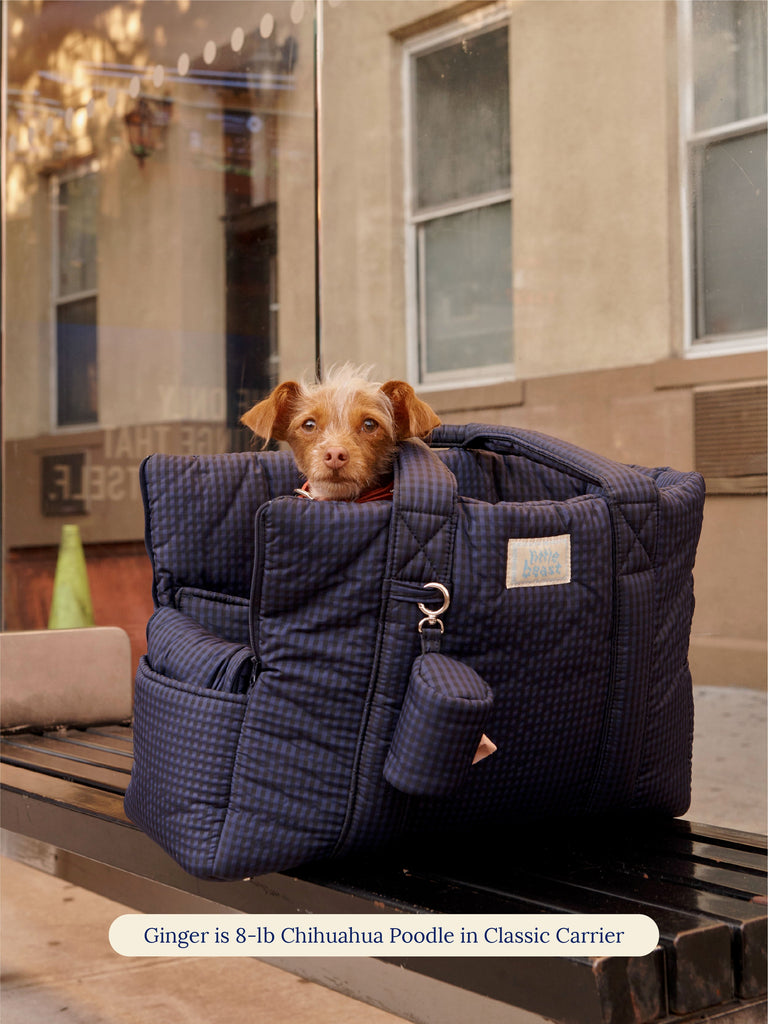 Little Beast Dog Carrier ONE SIZE The Little Beast Carrier - Purple Haze