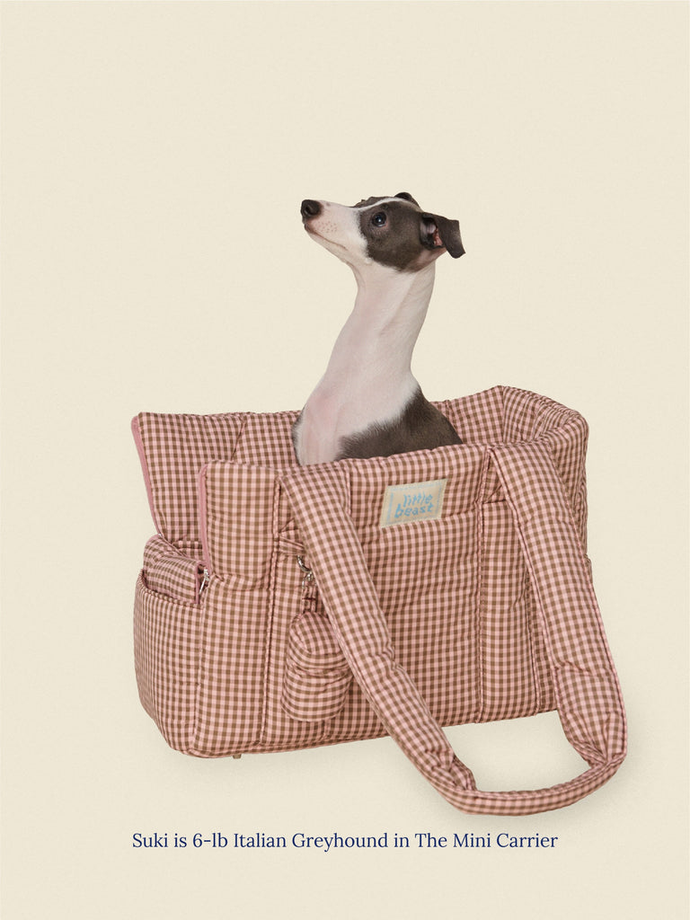 Little Beast Dog Carrier The Little Beast Carrier - RiRi