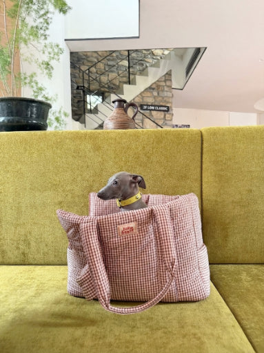 The Little Beast Carrier - RiRi