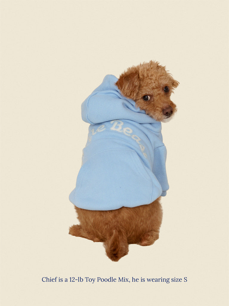 Little Beast Dog Hoodie The Little Beast Hoodie - Baby Blue