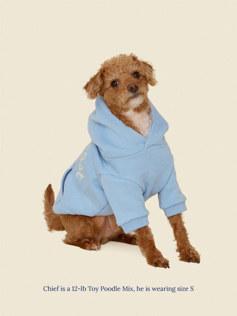 Little Beast Dog Hoodie The Little Beast Hoodie - Baby Blue