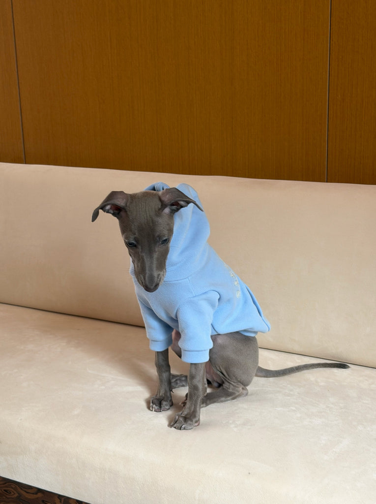 Little Beast Dog Hoodie The Little Beast Hoodie - Baby Blue