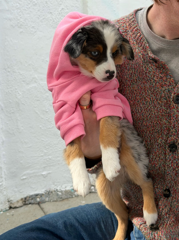 Little Beast Dog Hoodie The Little Beast Hoodie - Pink