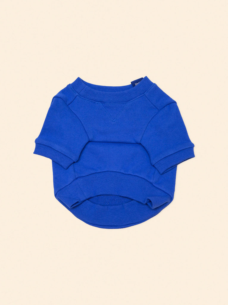 Little Beast Dog Sweatshirt The Lucky Blue Sweatshirt