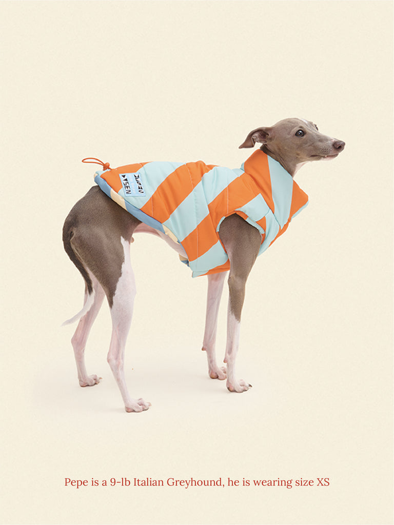 Little Beast Dog Parka The Orange Peel Parka Vest - Dusen Dusen