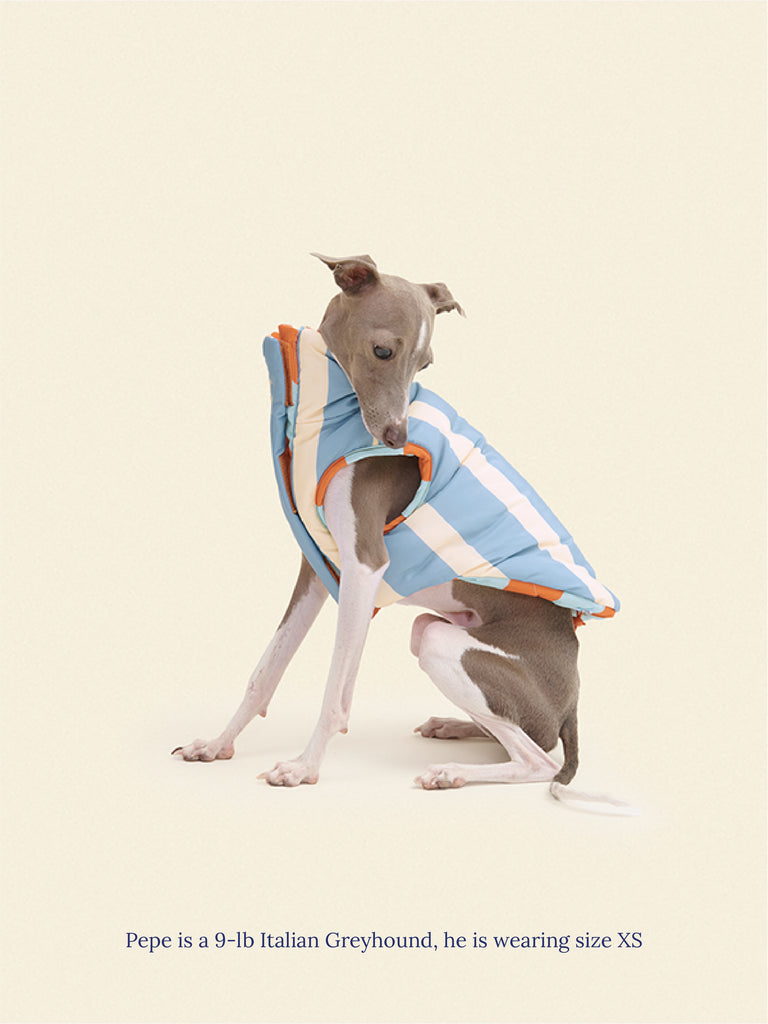 Little Beast Dog Parka The Orange Peel Parka Vest - Dusen Dusen
