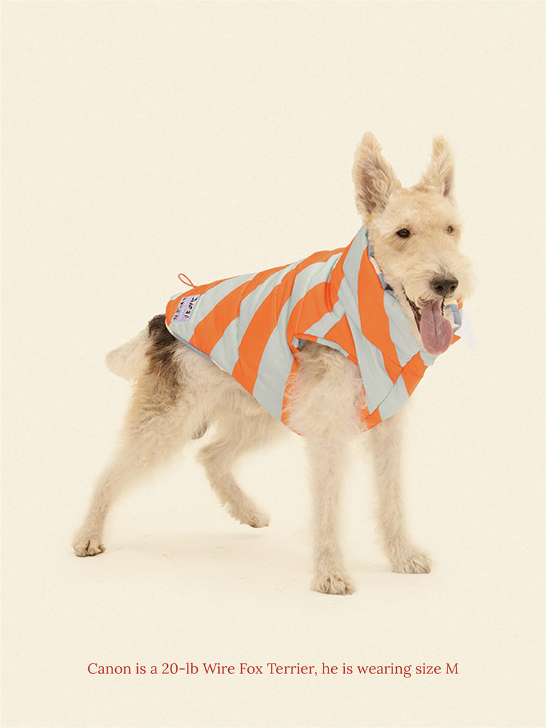 Little Beast Dog Parka The Orange Peel Parka Vest - Dusen Dusen