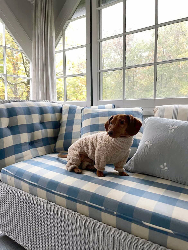 Little Beast Dog Fleece Onesie The Pablo Fleece Onesie