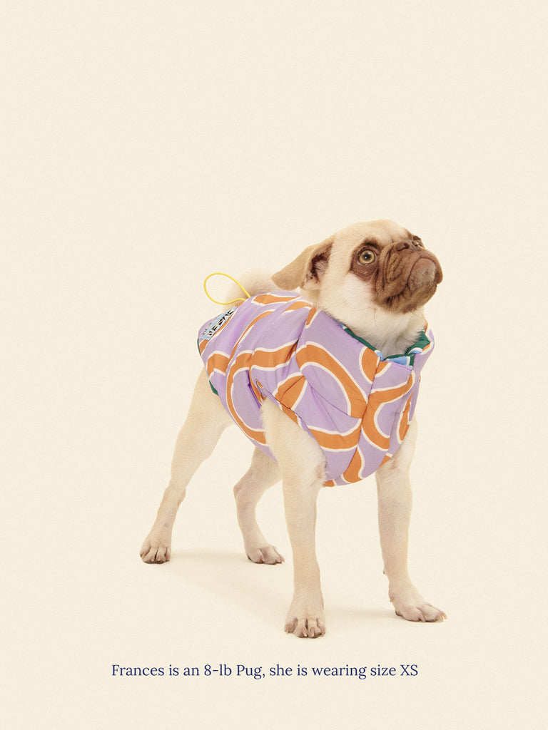 Little Beast Dog Parka The Piscine Puffer Jacket - Dusen Dusen