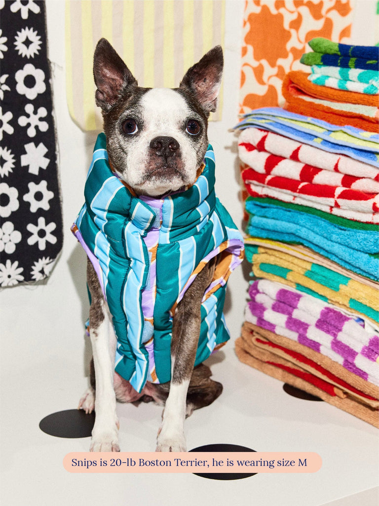 The Piscine Puffer Jacket - Dusen Dusen – Little Beast