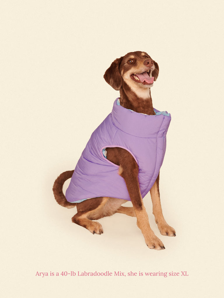 Little Beast Dog Parka The Silver Linings Puffer Jacket