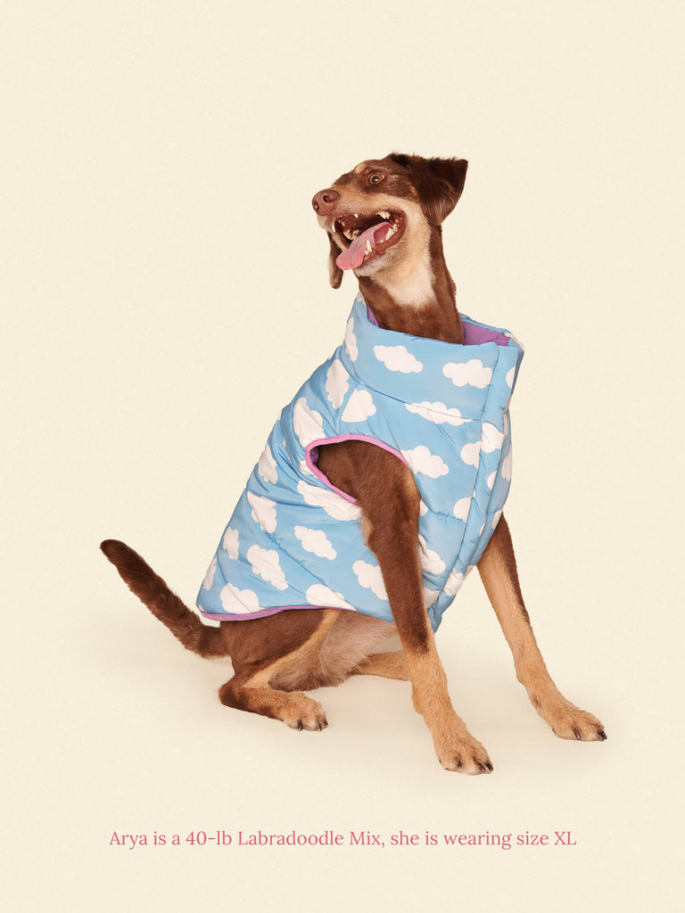 Little Beast Dog Parka The Silver Linings Puffer Jacket