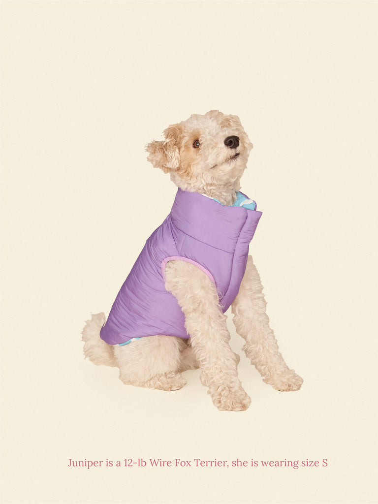 Little Beast Dog Parka The Silver Linings Puffer Jacket