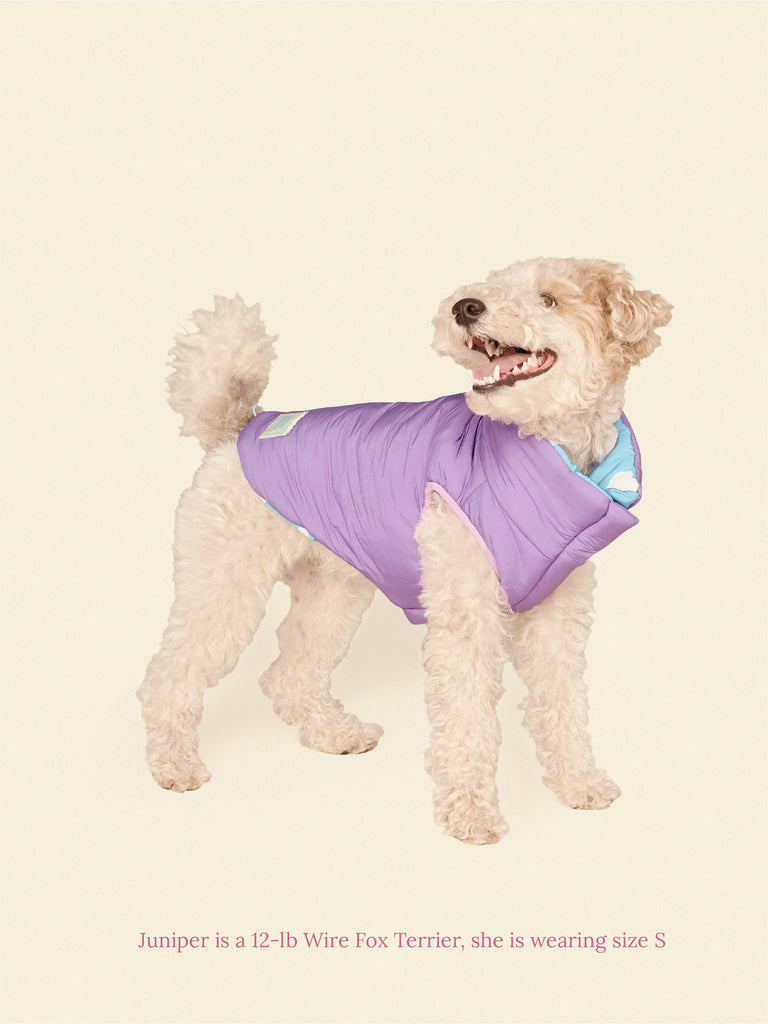 Little Beast Dog Parka The Silver Linings Puffer Jacket