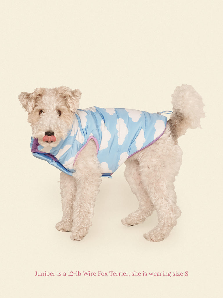 Little Beast Dog Parka The Silver Linings Puffer Jacket