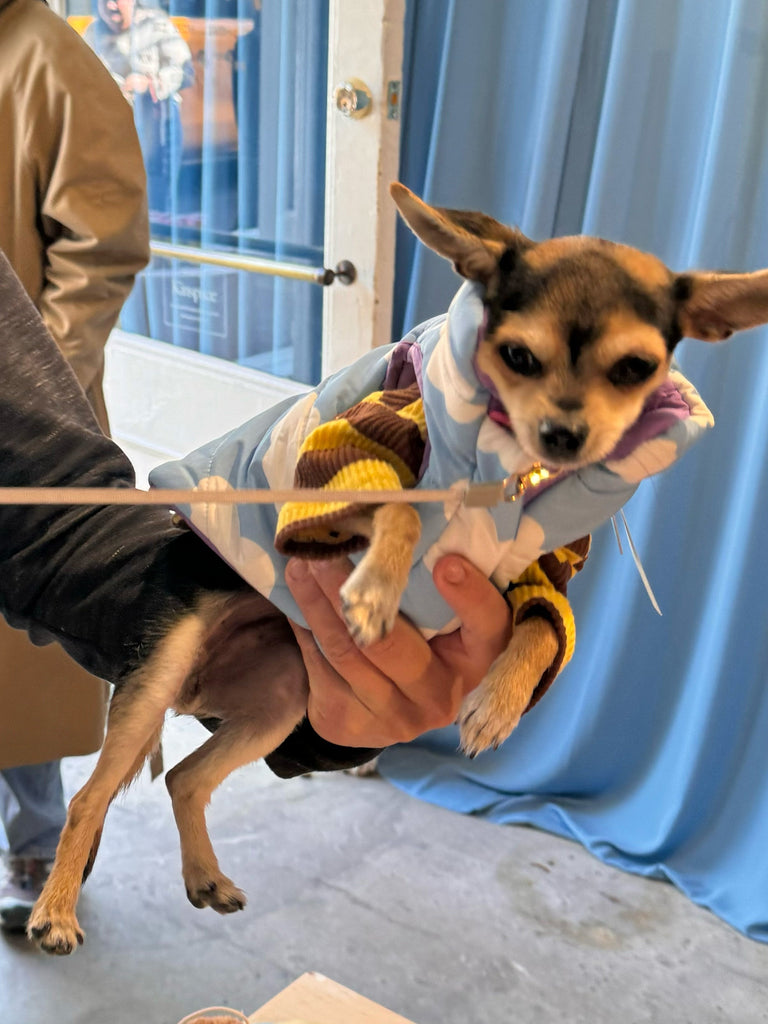 Little Beast Dog Parka The Silver Linings Puffer Jacket