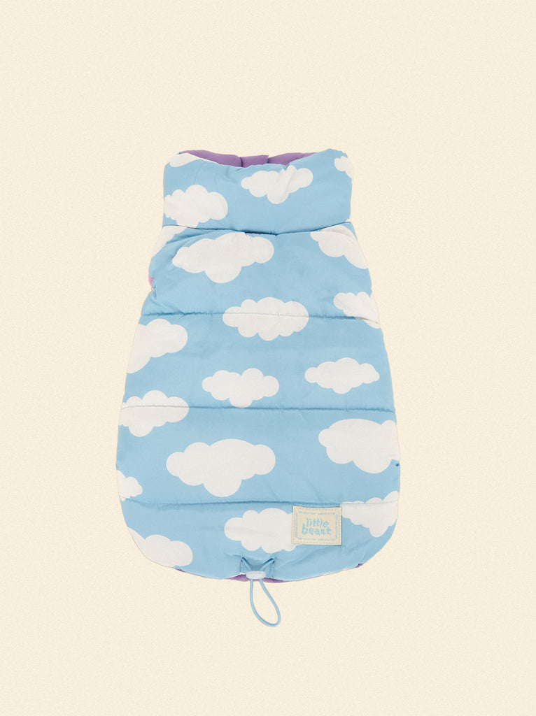 The Silver Linings Puffer Jacket