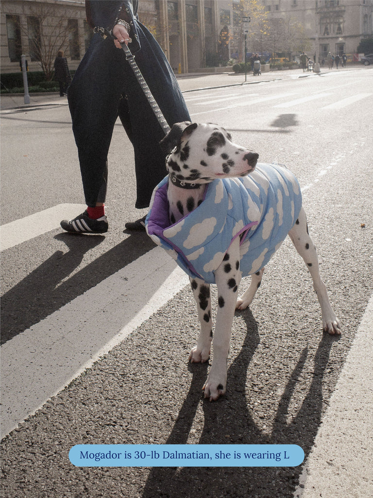 Little Beast Dog Parka The Silver Linings Puffer Jacket