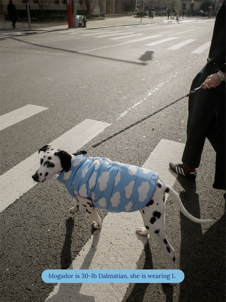 Little Beast Dog Parka The Silver Linings Puffer Jacket