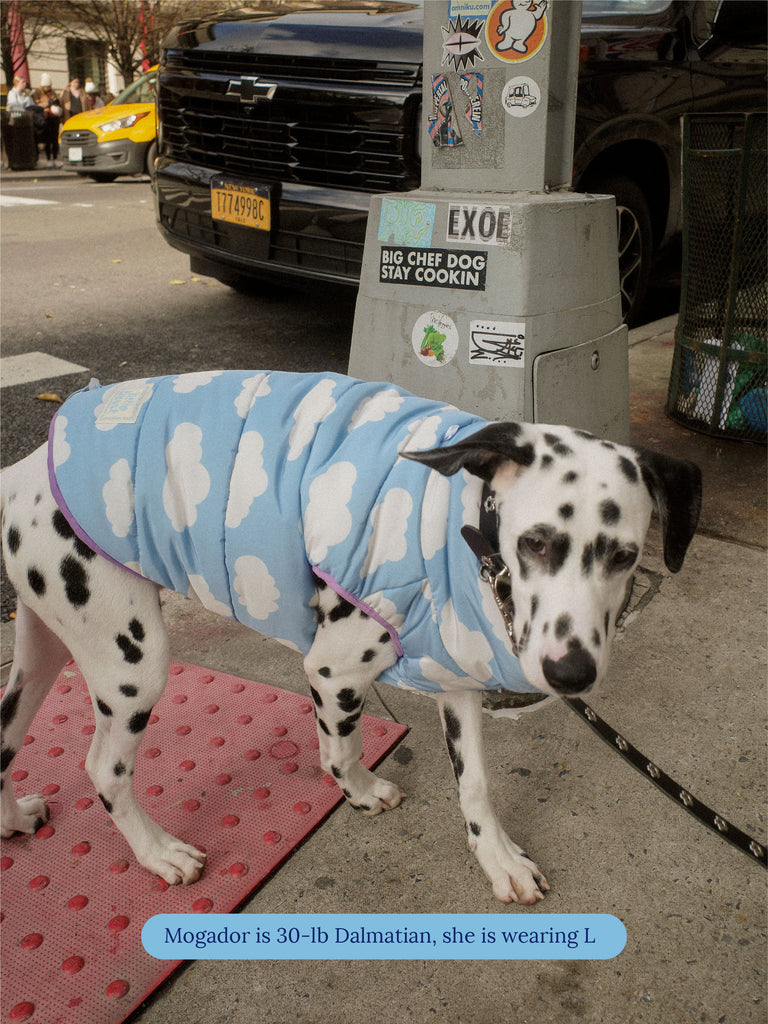 Little Beast Dog Parka The Silver Linings Puffer Jacket