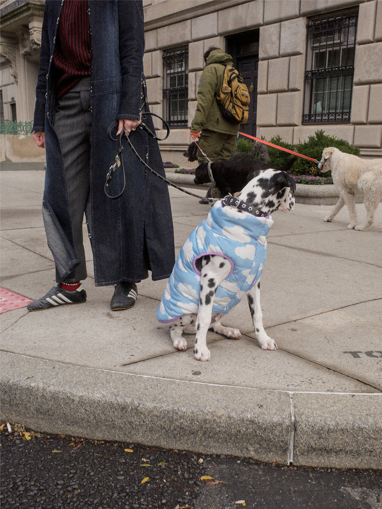Little Beast Dog Parka The Silver Linings Puffer Jacket
