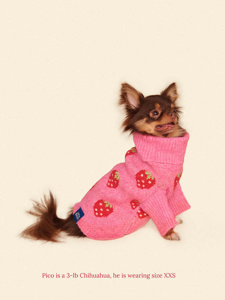 Little Beast Dog Sweater The Strawberry Sweater 🍓