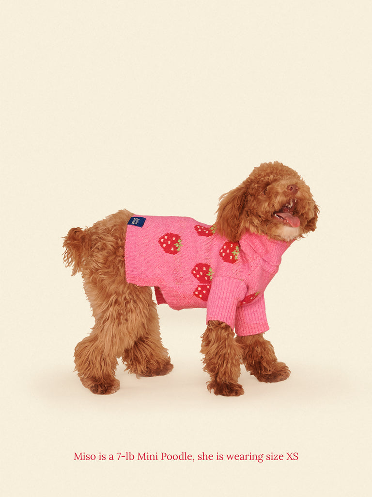 Little Beast Dog Sweater The Strawberry Sweater 🍓
