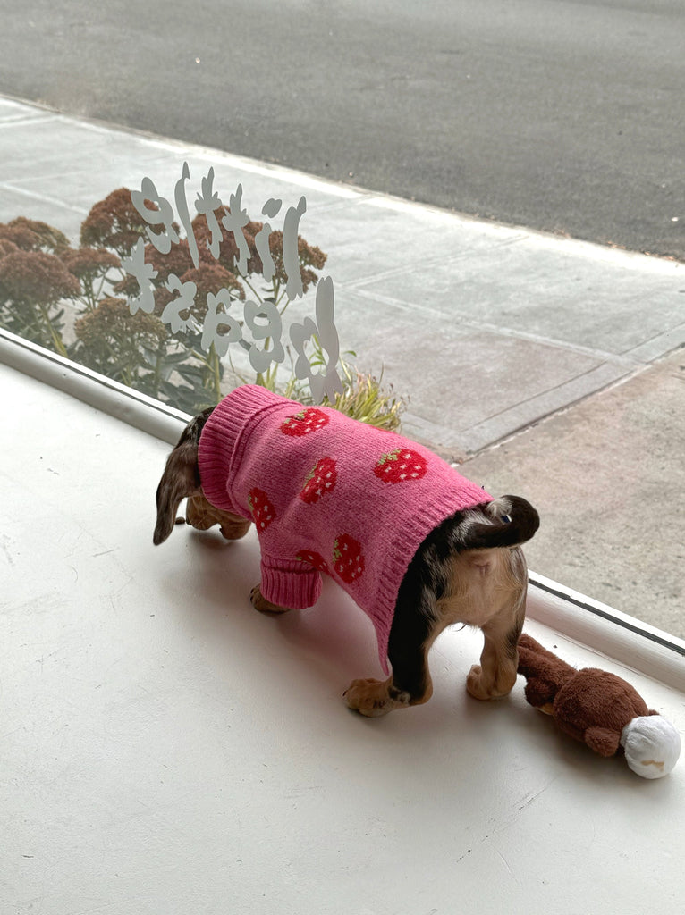 Little Beast Dog Sweater The Strawberry Sweater 🍓